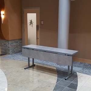 6'x2' table provided