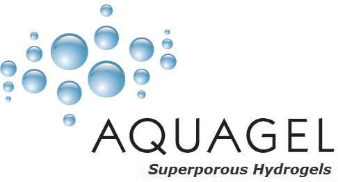 Superporous Hydrogels