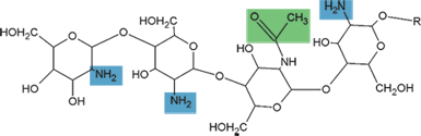 Chitosan