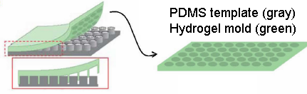 mold template