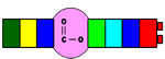 Linear Polyesters